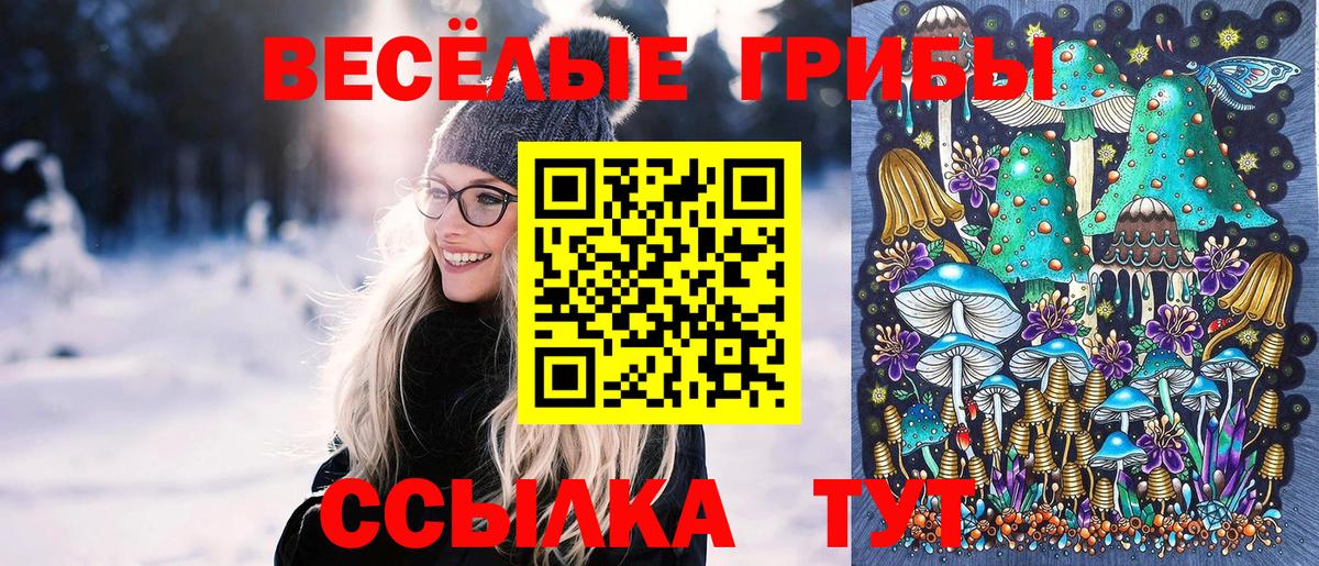 Псилоцибиновые грибы прущие грибы  Вход с VPN  Ярцево  Галлюциногенные грибы Psilocybe 